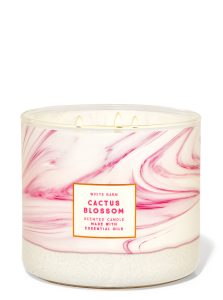 cactus blossom 3-wick candle