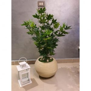 Cancer Zodiac Gift Ideas - Potted Plant or Planter