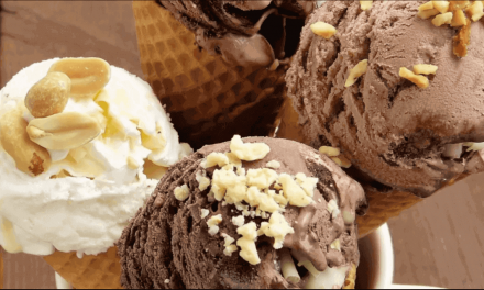 10 best ice cream maker within your budget