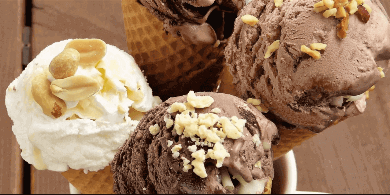 10 best ice cream maker within your budget