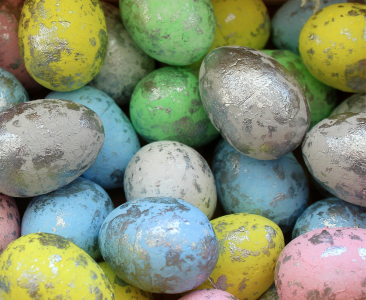 Easter egg hunt in Easter celebration