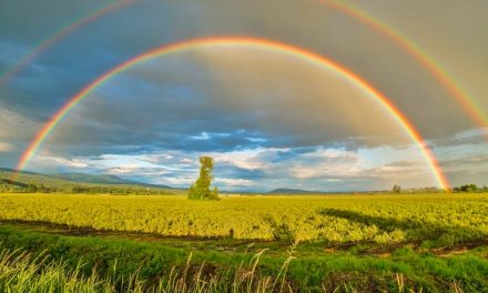Ways and reasons to celebrate ‘Find a Rainbow Day’ this year