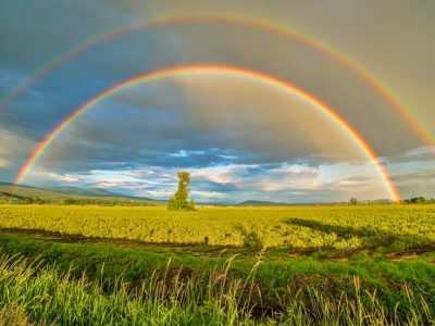 Ways and reasons to celebrate ‘Find a Rainbow Day’ this year