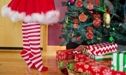 Best Extra Full Christmas Trees to add extra joy