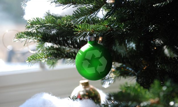 Eco-friendly Christmas is the new stylish statement