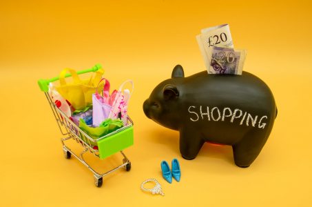 Piggy bank and shopping cart noon